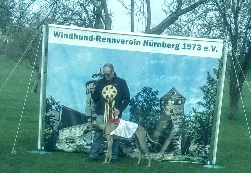 de la Bérondière - Coursing Trautskirchen. Allemagne 2 avril 2017