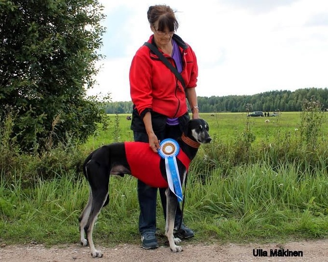 de la Bérondière - Coursing Latvian Lettonie 30/08/23014