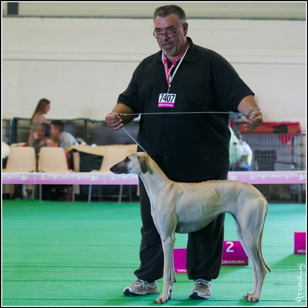 de la Bérondière - Championnat de France à Angers 8 juin 2014