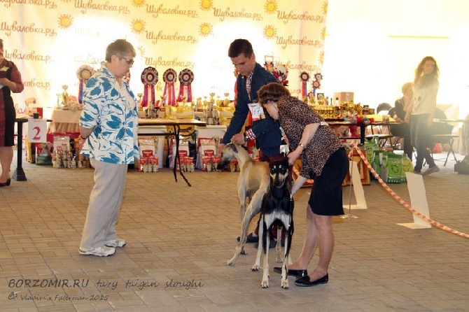 de la Bérondière - Exposition en Russie 21/06/2015