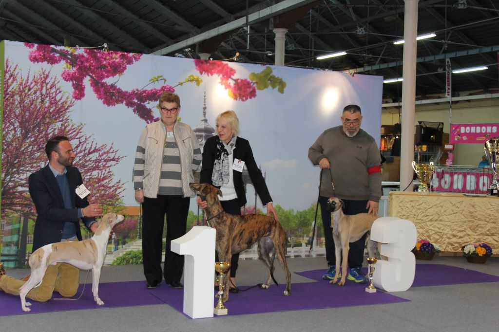 de la Bérondière - Exposition Nationale Valence 3 mars 2018