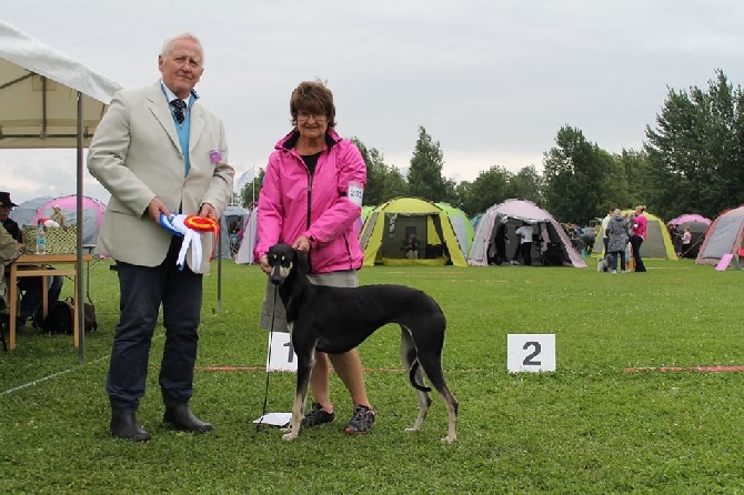 de la Bérondière - Exposition Eukanuba Summer Show 26.juillet 2015