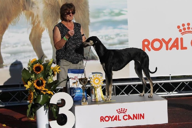 de la Bérondière - International Dog Show "Baltic Winner 2015" 23/08/2015