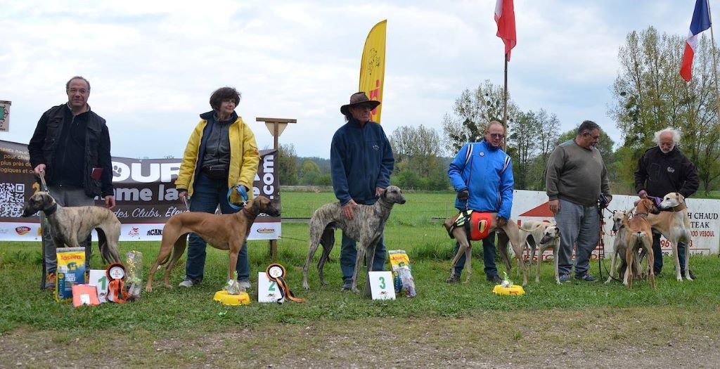 de la Bérondière - Laferté sur Armance 16/04/2017