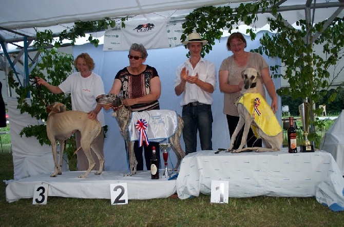 de la Bérondière - Championnat de France Coursing 23/08/2015