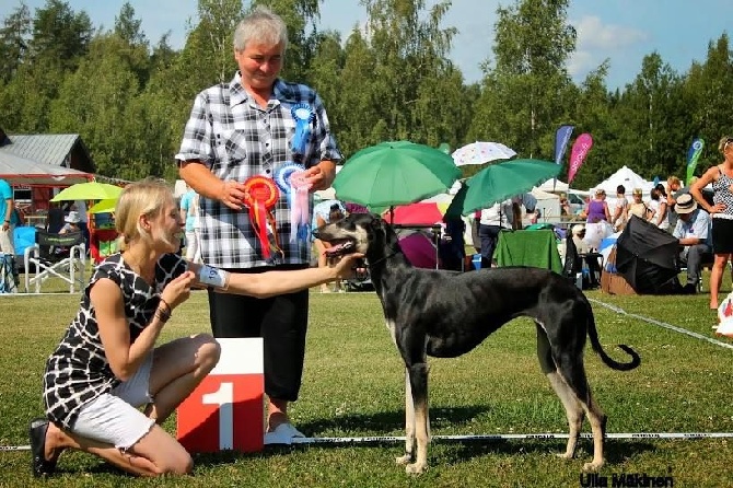 de la Bérondière - Exposition Finlande 27/07/2014