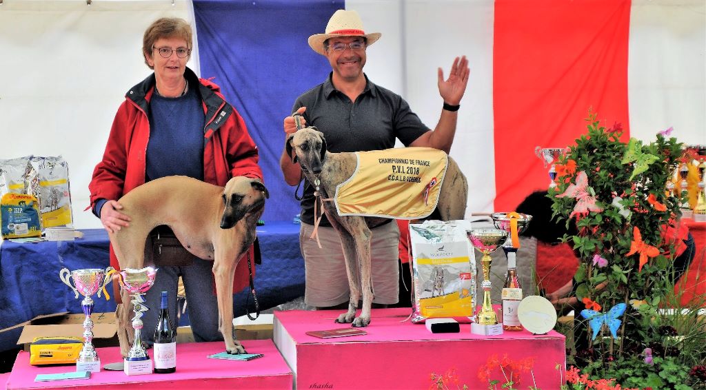 de la Bérondière - Championnat de France coursing Achères 25 août 2018