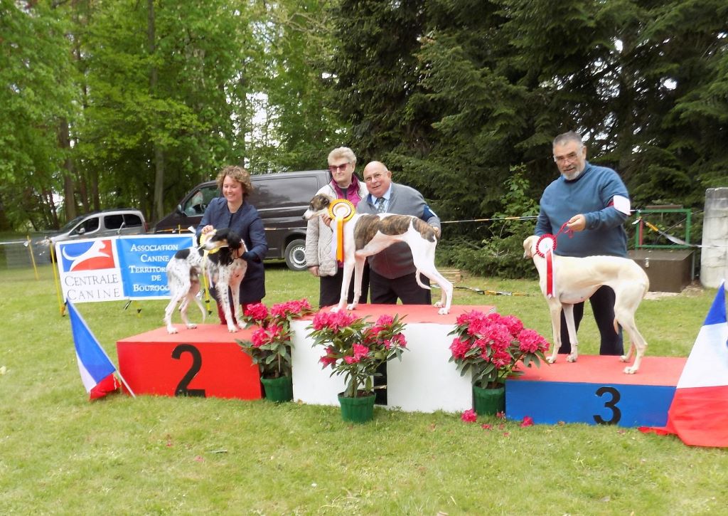 de la Bérondière - Exposition Saint Ambreuil 5 mai 2019