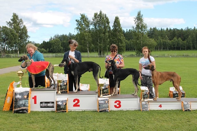 de la Bérondière - Championnat Racing Finlande 1 aout 2015