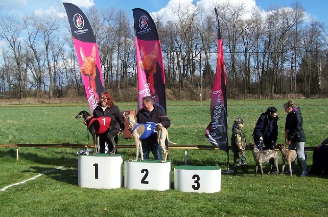 de la Bérondière - INTER BOHEMIA SOFA DOG WEAR 4.4.2015 Kolín 