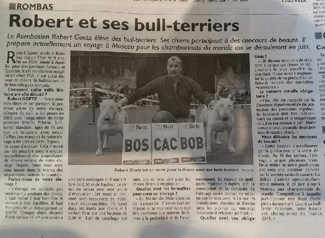 de l'Empire du Bull - DE L'EMPIRE DU BULL DANS LA PRESSE