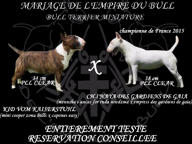 de l'Empire du Bull - PROCHAIN MARIAGE 