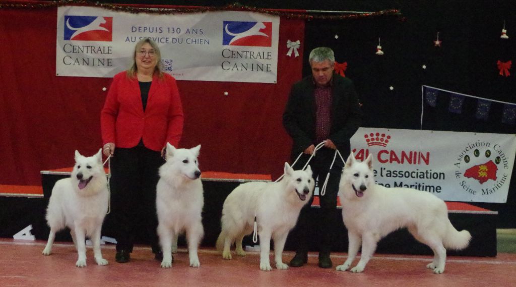 des fantômes de la nuit - Exposition canine internationale de ROUEN 2022