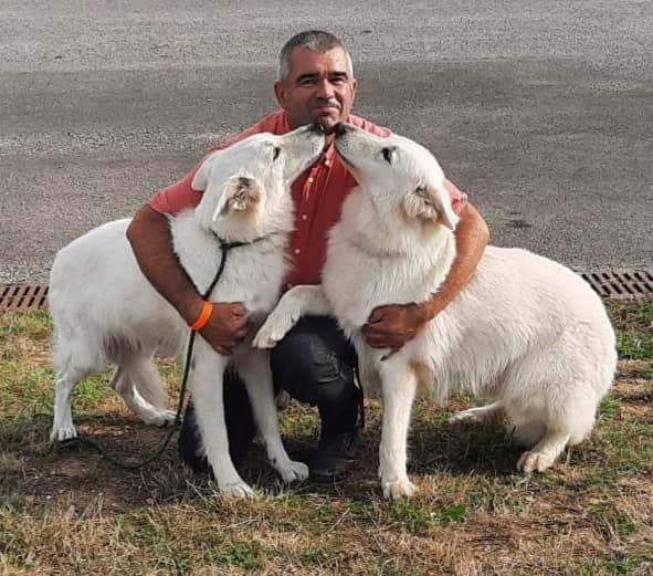 des fantômes de la nuit - Exposition canine internationale de Compiègne  2021