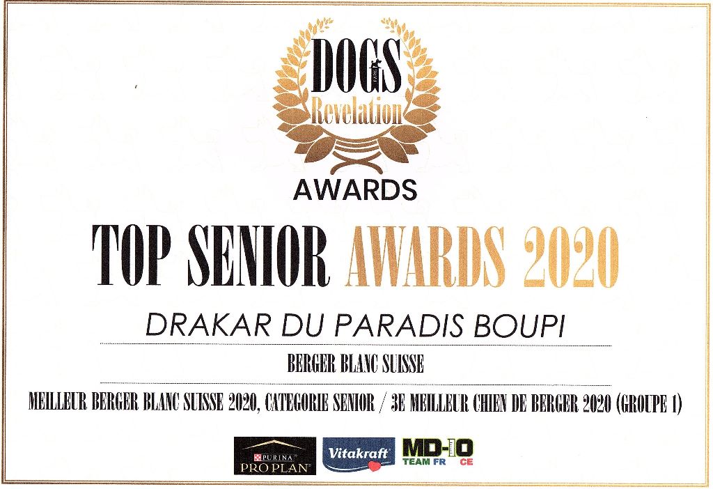 des fantômes de la nuit - CLASSEMENT DOG REVELATION 2020 (TOP SENIOR)