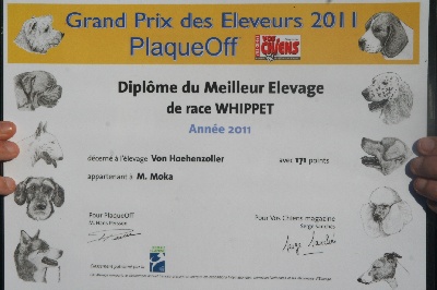 von Hoëhenzoller - Titre du meilleur élevage de Whippets de beauté 2011