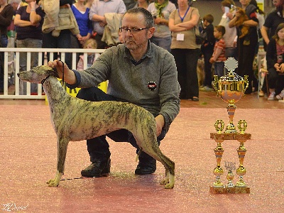 von Hoëhenzoller - Trophée F.C.P.L. du Meilleur représentant du 10 ème groupe de l'année 