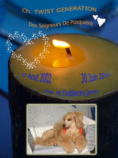 des seigneurs de Posquiere - TWIST GENERATION DES SEIGNEURS DE POSQUIERE