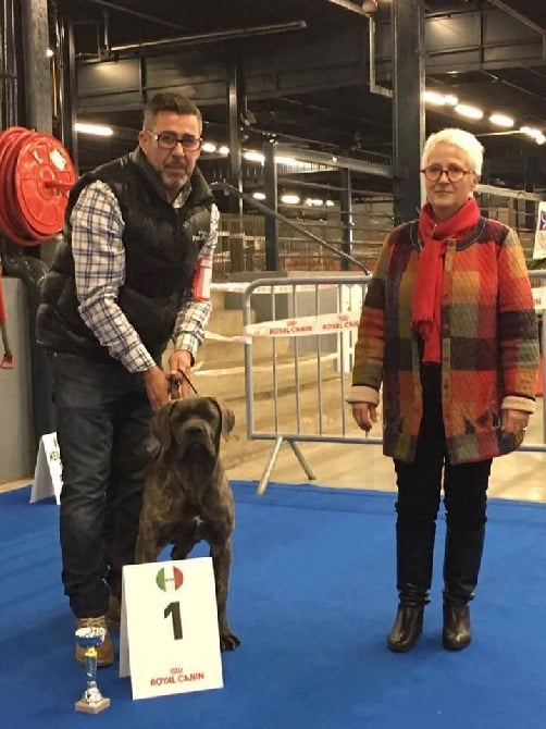 Valma's Signature - 30eme Régional de Cane Corso