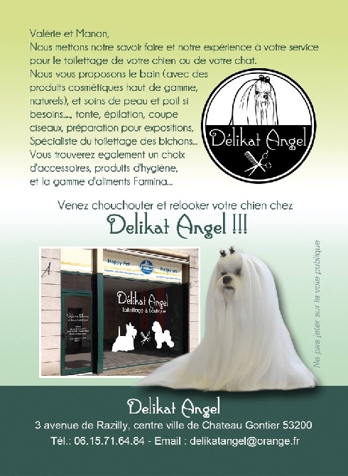 Valma's Signature - Ouverture de notre salon de toilettage Delikat Angel