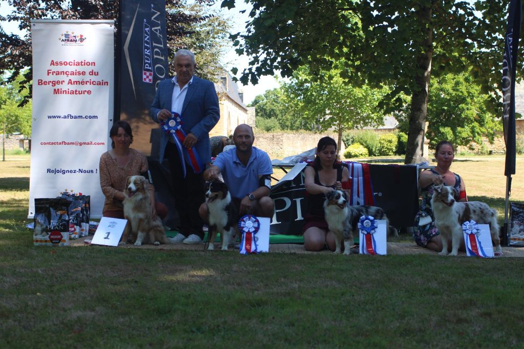 du temple de Palés - des titres de champion pour nos chien en 2022