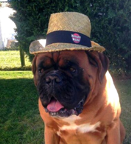 des laquets de Sencours - Friedland et son beau chapeau....