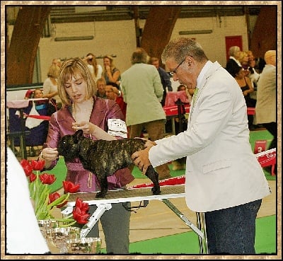 du jardin des gourmandises - CHAMPIONNAT D'EUROPE