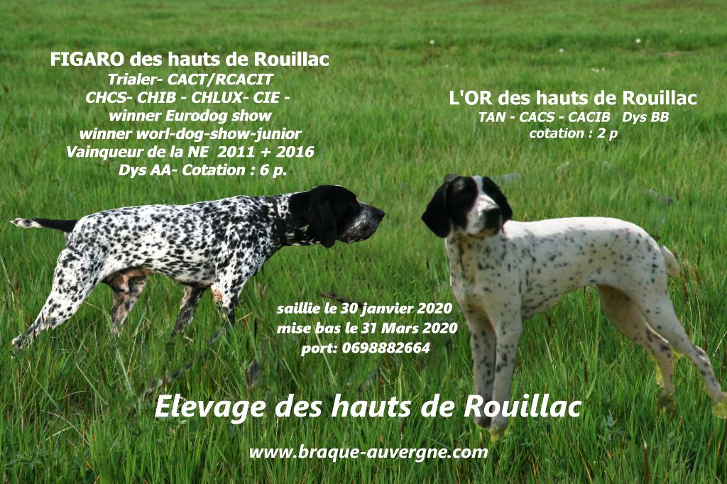 des hauts de rouillac - SAILLIE 2020