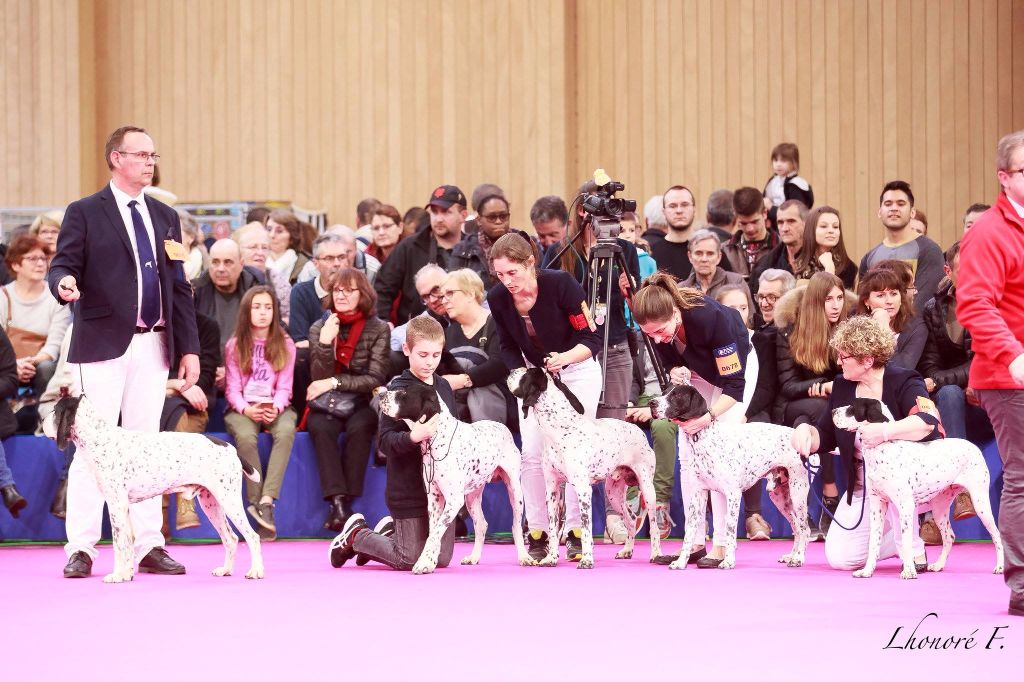 des hauts de rouillac - CONCOURS GÉNÉRAL AGRICOLE PARIS 2017