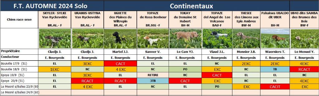 Des brumes des bois - resultats de Samba après 1 semaine de concours