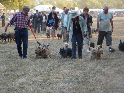 du clos de la Dabinerie - FETE DE LA CHASSE ET DE LA PECHE A CARROUGES