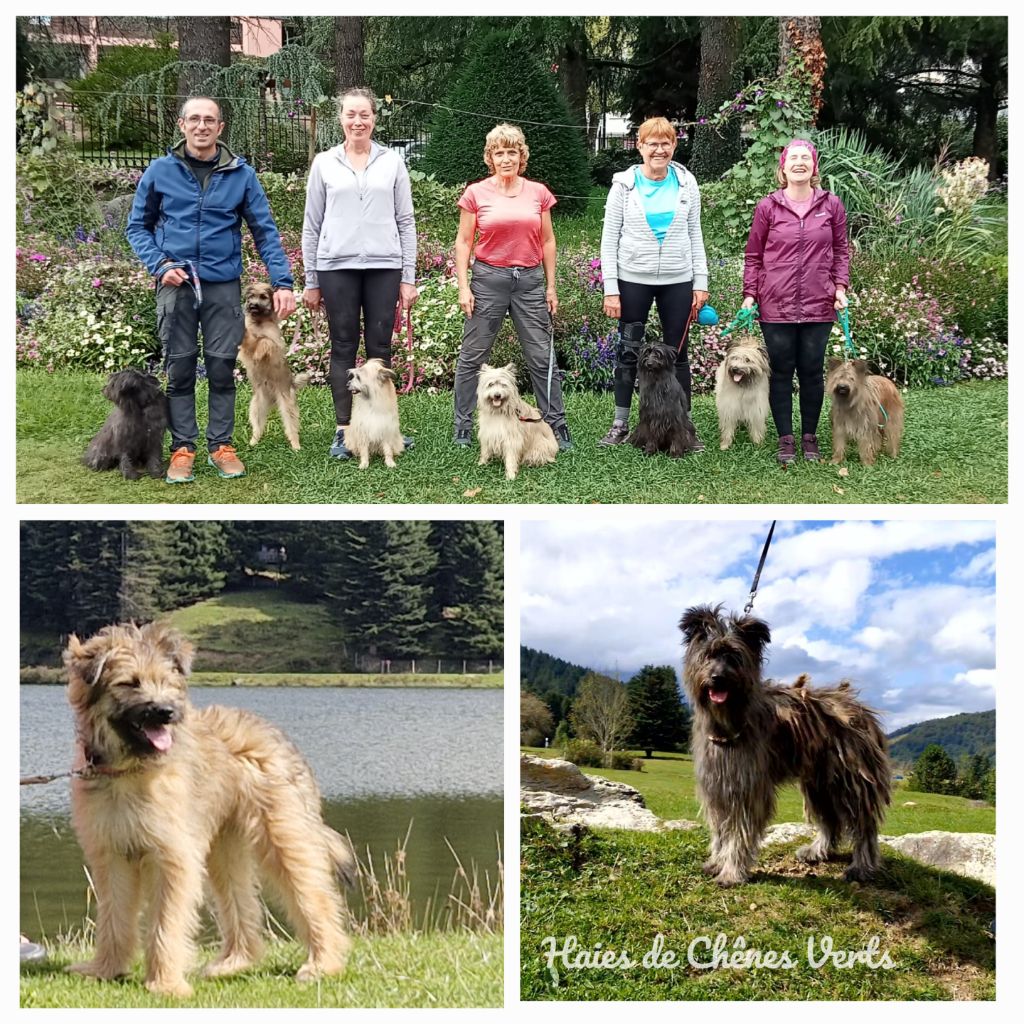 des Haies de Chênes Verts - Résultats Nationale d'élevage 2024 et championnat de France d'agility 