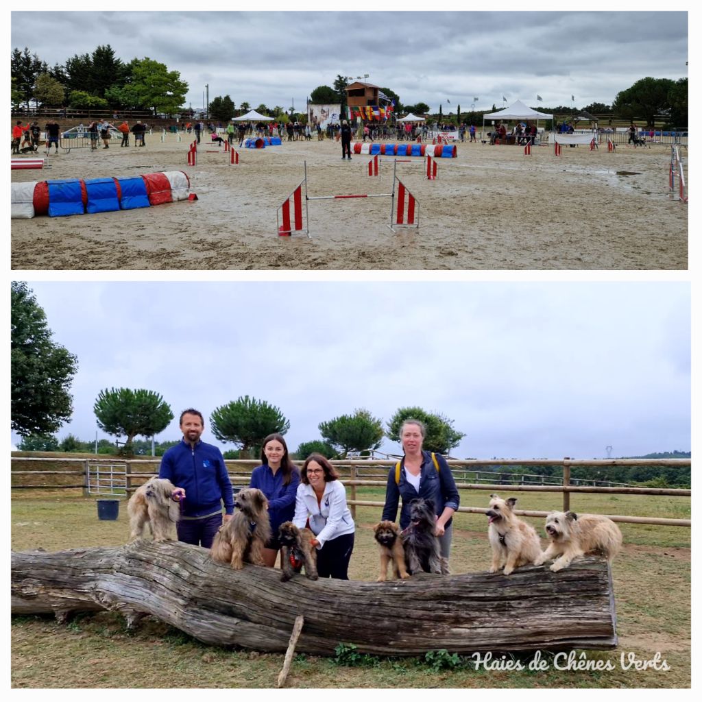 des Haies de Chênes Verts - Agility Beizh Cup 2024