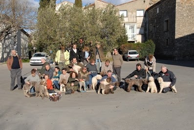 Concours aux Mages dans le gard