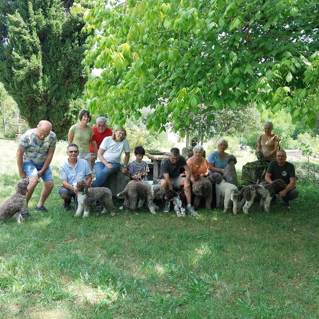 Amicale Lagotto Club de France