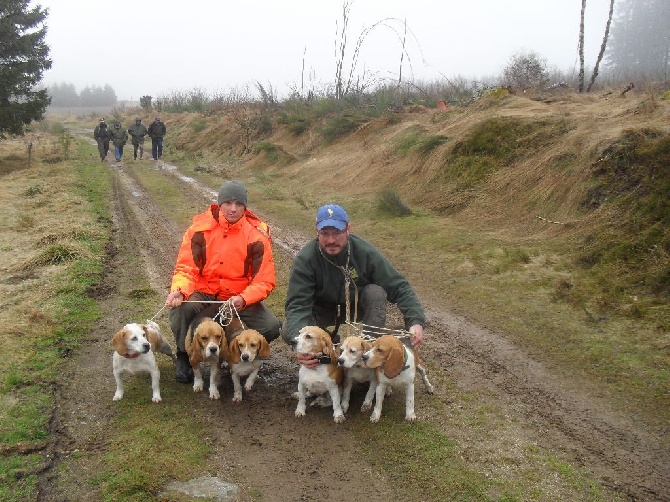 du Ron de L'Apio - Brevet de chasse EGLISSOLES (63) le 22 Mars 2014