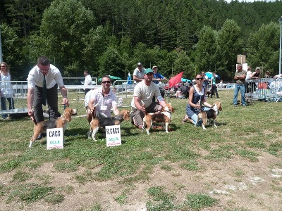 du Ron de L'Apio - CAC MENDE SPECIALE BEAGLE BH & H le 12 AOUT 2012