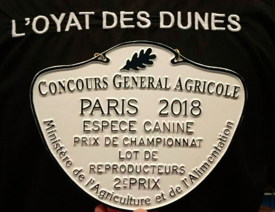 FINALE SALON DE L'AGRICULTURE 2018