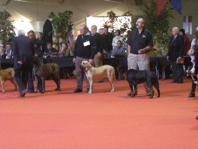 du domaine d'en bas - Danouchka et Baloo à Bourges