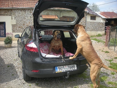 du domaine d'en bas - QUAND LA CHAMPIONNE DE REPUBLIQUE TCHEQUE REND VISITE A BALOO