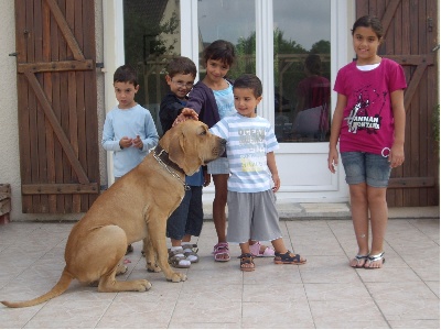 du domaine d'en bas - DES NOUVELLES D'EDUEN DU DOMAINE D'EN BAS