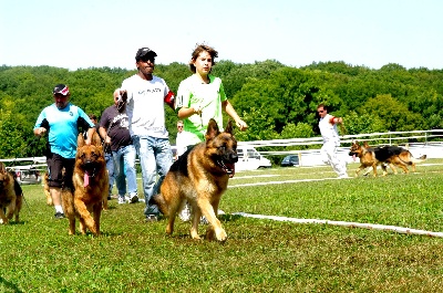 de l'Huselberg - Chémery 2009 !!!