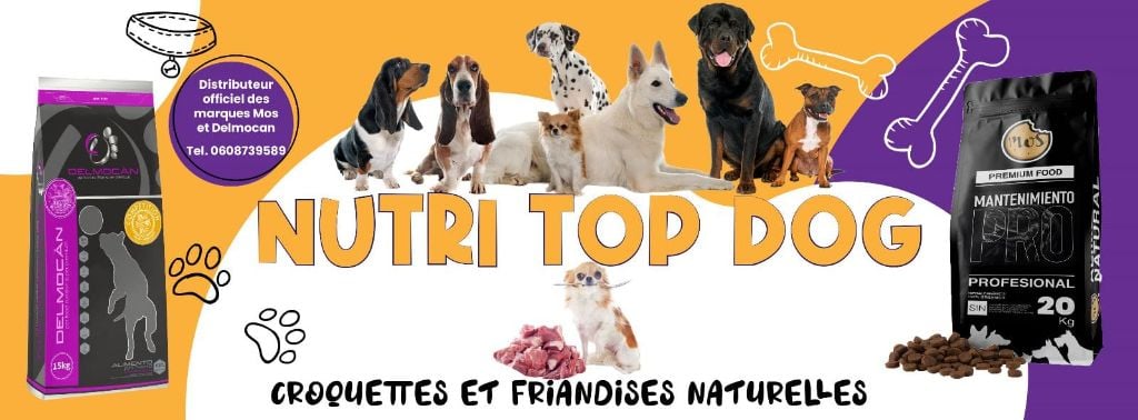 The Sourannya - Distributeur des croquettes pour chien