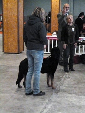 des berges de l'Isac - Exposition de Nantes