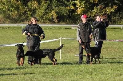 du royaume Dugozana - Résultats des 2 journées beauceronnes d'octobre