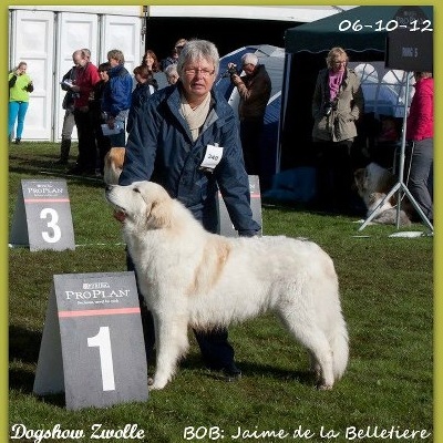 de la belletière - resultats Expositions Etranger