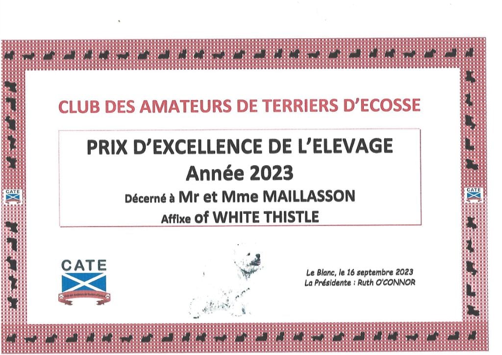 of White Thistle - Prix d'excellence 2023