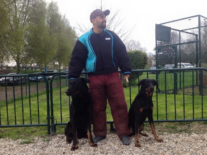 des Marais de Saint-Gratien - Ring: en famille à l'Inter-Races Ile-de-France.