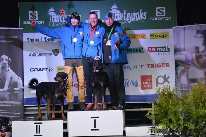 des Marais de Saint-Gratien - Canicross: Basi sur la 1ère marche du podium!