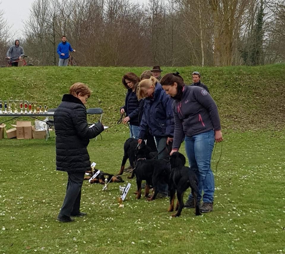 des Marais de Saint-Gratien - Morphologie: Nestie en Journée Beauceronne.